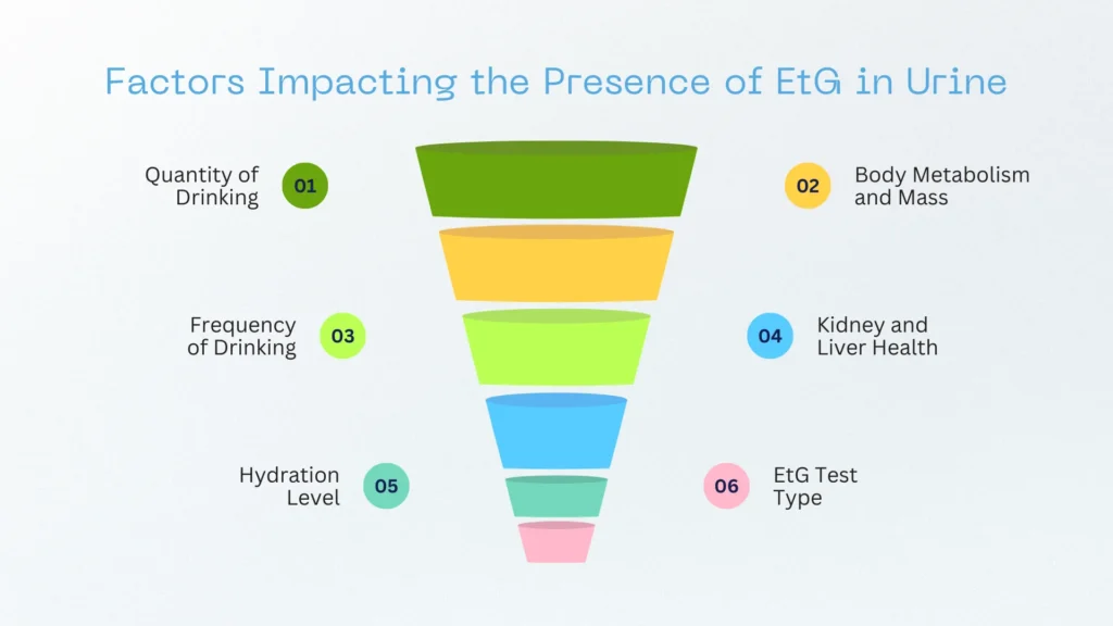 Factors Impacting the Presence of EtG in Urine