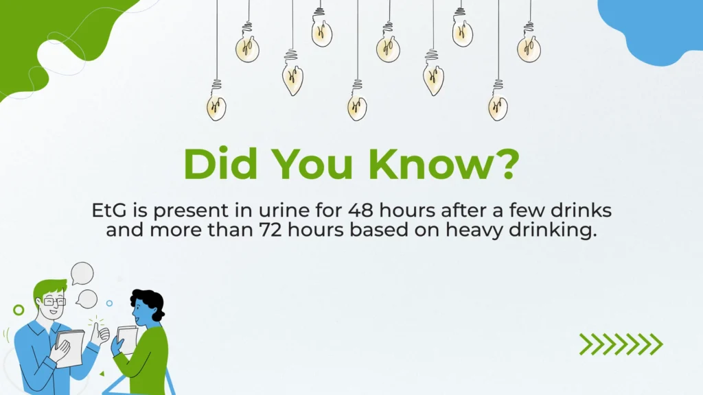 How Long Can Alcohol Be Detected in Urine EtG - Did You Know