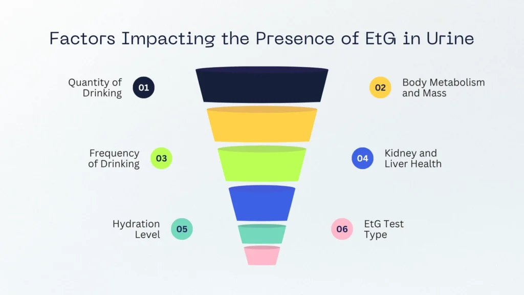 Factors Impacting the Presence of EtG in Urine