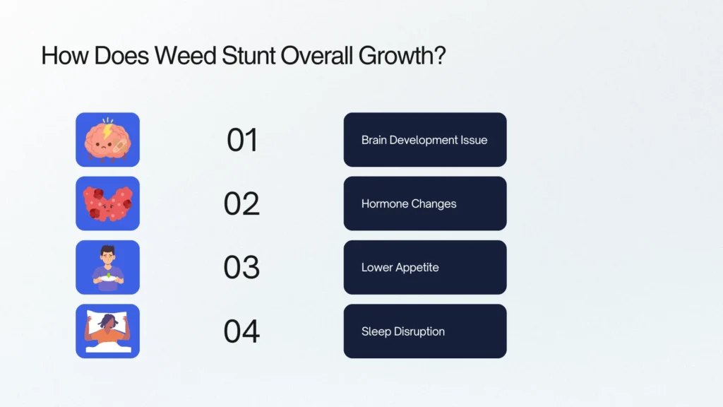 How Does Weed Stunt Overall Growth